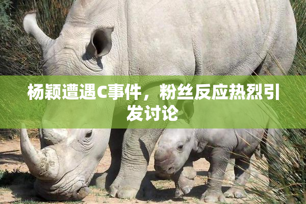 杨颖遭遇C事件，粉丝反应热烈引发讨论