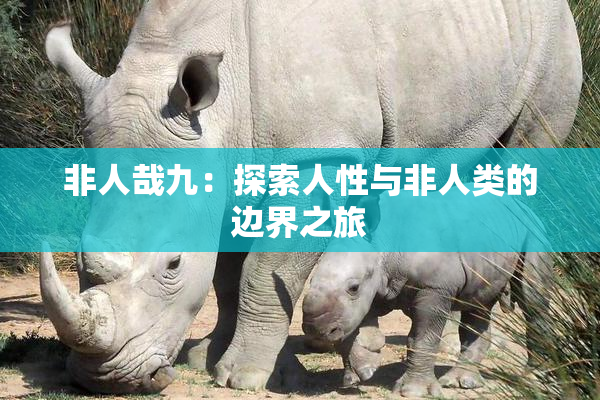非人哉九：探索人性与非人类的边界之旅