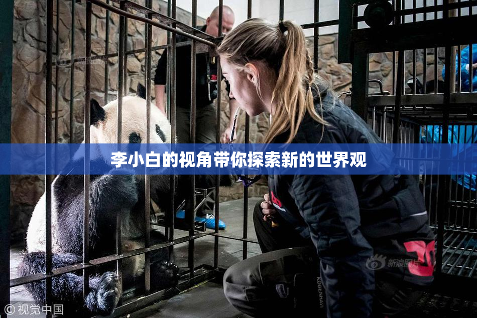 李小白的视角带你探索新的世界观
