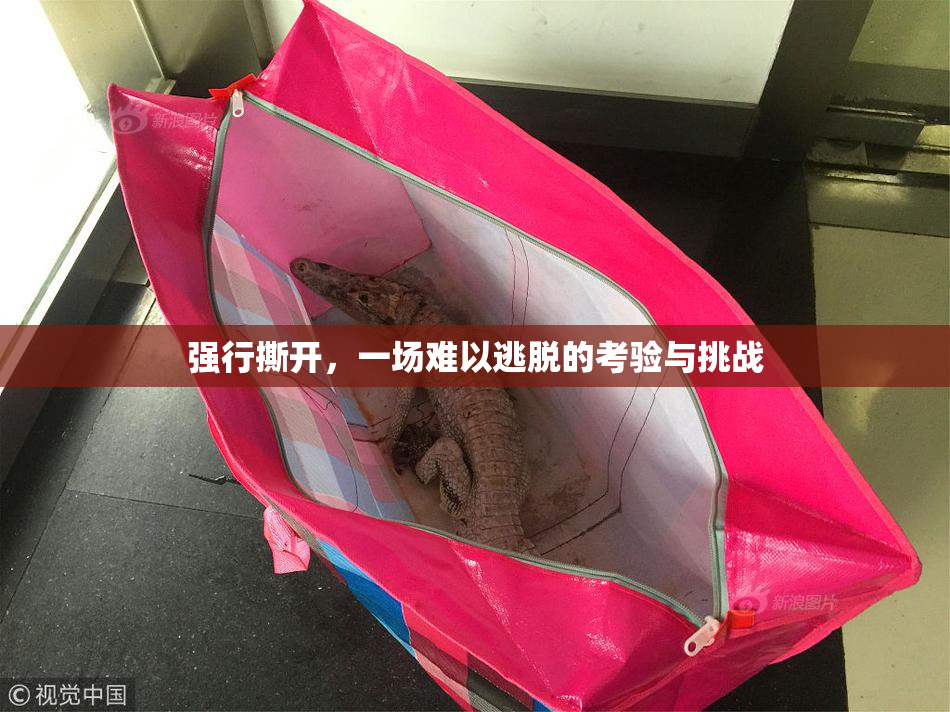 强行撕开，一场难以逃脱的考验与挑战
