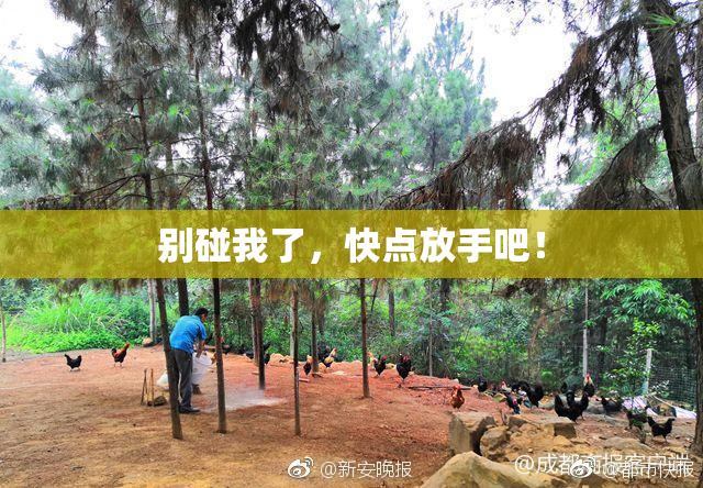 别碰我了，快点放手吧！