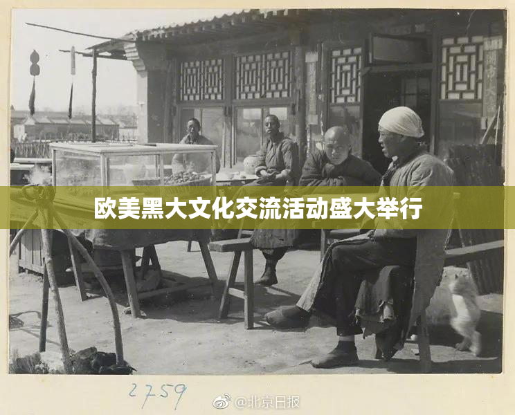 欧美黑大文化交流活动盛大举行