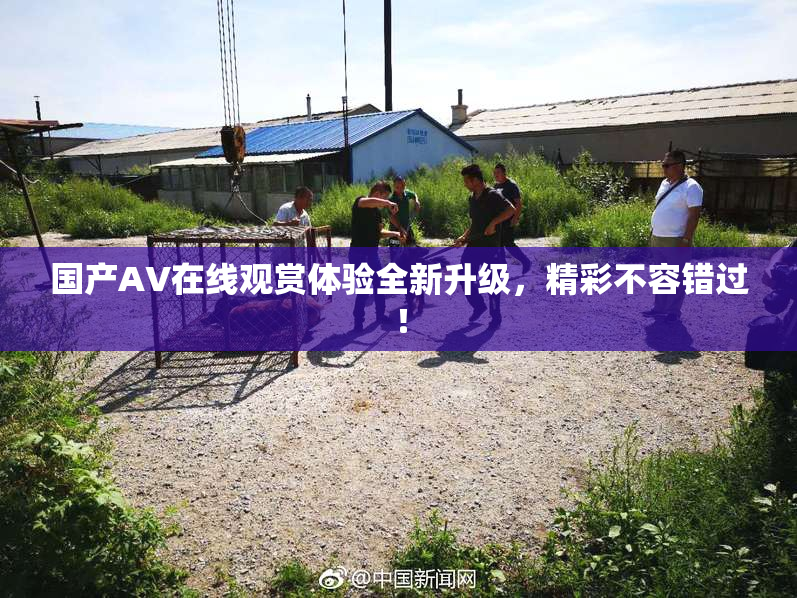 国产AV在线观赏体验全新升级，精彩不容错过！