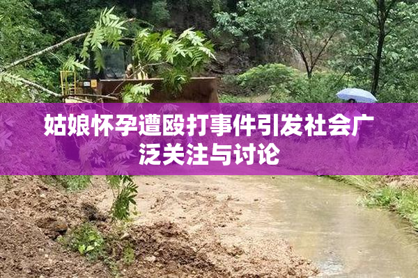 姑娘怀孕遭殴打事件引发社会广泛关注与讨论
