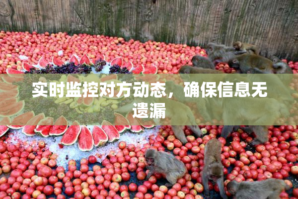 实时监控对方动态，确保信息无遗漏
