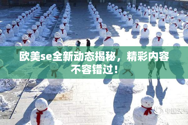 欧美se全新动态揭秘，精彩内容不容错过！