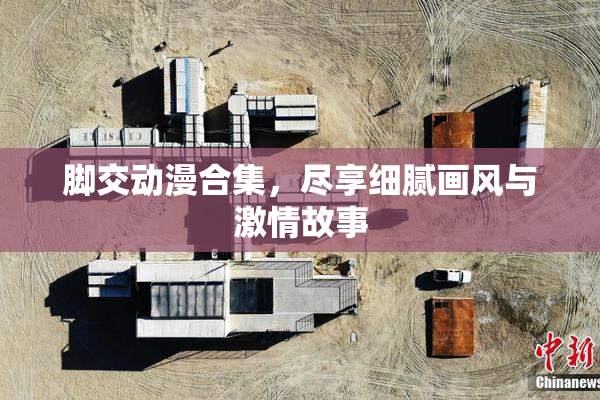 脚交动漫合集，尽享细腻画风与激情故事