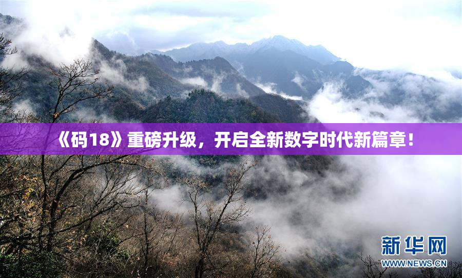 《码18》重磅升级，开启全新数字时代新篇章！