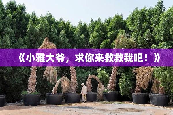 《小雅大爷，求你来救救我吧！》
