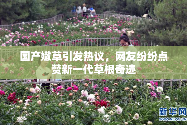 国产嫩草引发热议，网友纷纷点赞新一代草根奇迹
