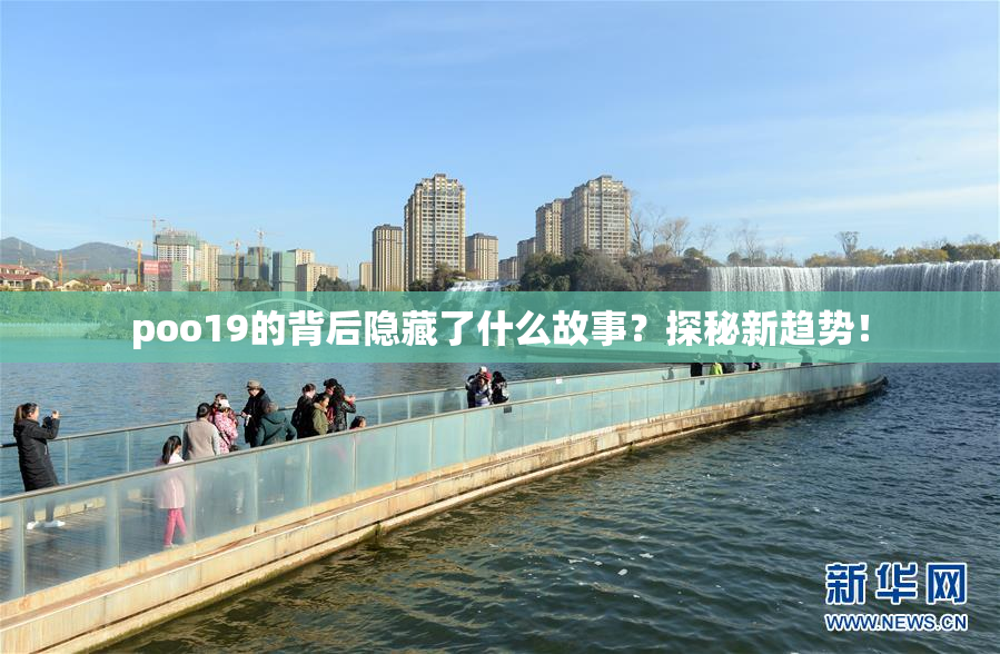 poo19的背后隐藏了什么故事？探秘新趋势！