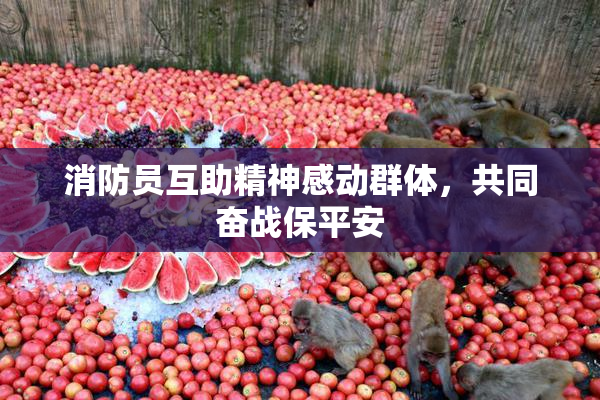 消防员互助精神感动群体，共同奋战保平安