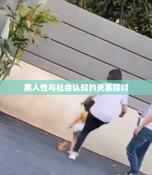 黑人性与社会认知的关系探讨