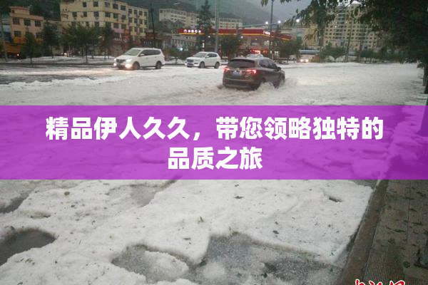 精品伊人久久，带您领略独特的品质之旅