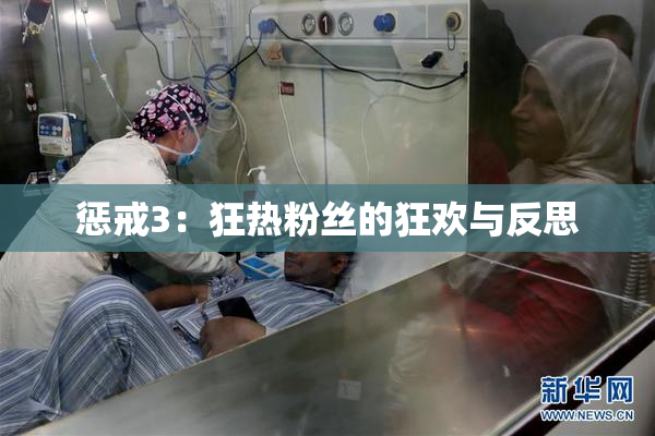 惩戒3：狂热粉丝的狂欢与反思