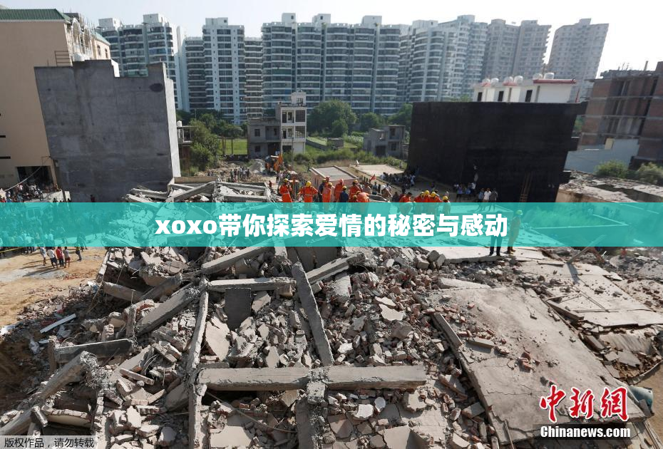 xoxo带你探索爱情的秘密与感动