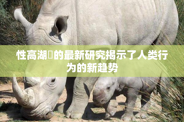 性高湖婬的最新研究揭示了人类行为的新趋势