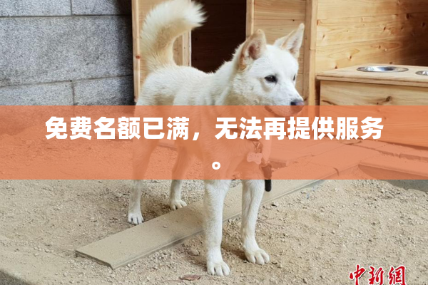免费名额已满，无法再提供服务。