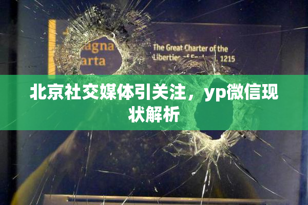 北京社交媒体引关注，yp微信现状解析