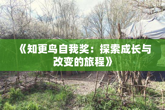 《知更鸟自我奖：探索成长与改变的旅程》