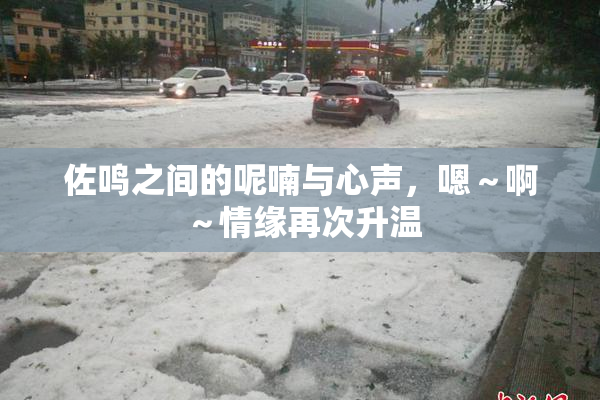 佐鸣之间的呢喃与心声，嗯～啊～情缘再次升温