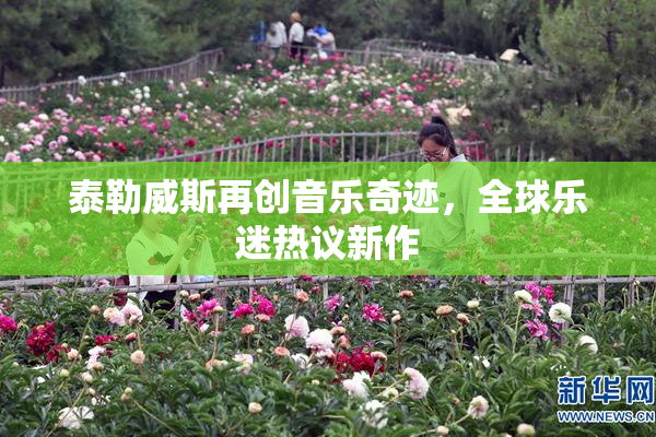泰勒威斯再创音乐奇迹，全球乐迷热议新作