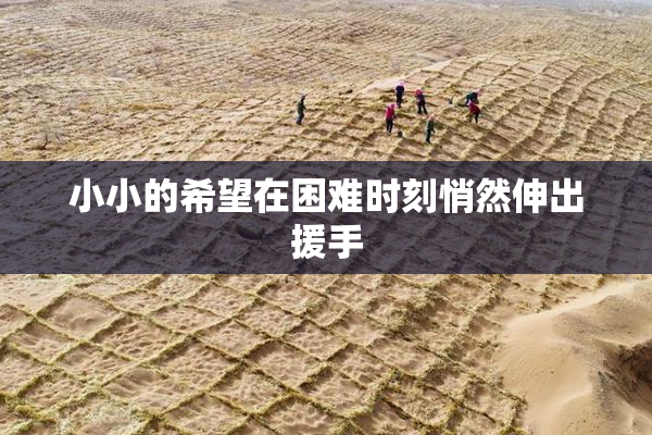小小的希望在困难时刻悄然伸出援手