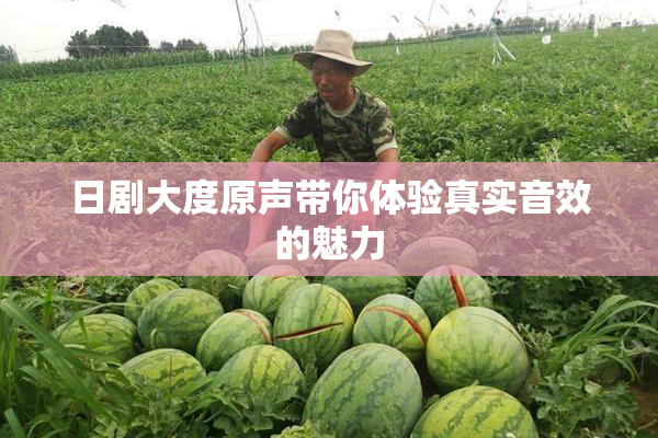 日剧大度原声带你体验真实音效的魅力