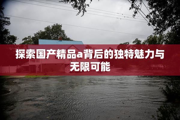 探索国产精品a背后的独特魅力与无限可能