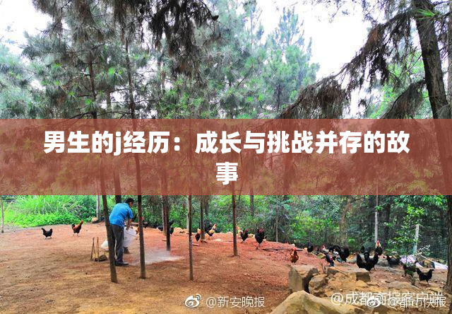 男生的j经历：成长与挑战并存的故事
