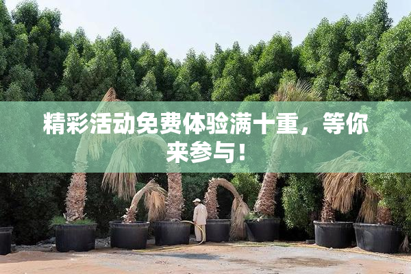 精彩活动免费体验满十重，等你来参与！