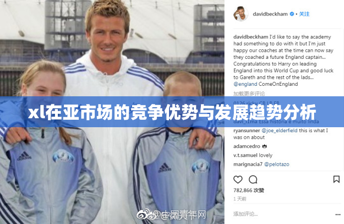 xl在亚市场的竞争优势与发展趋势分析