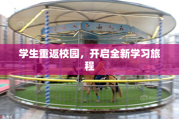 学生重返校园，开启全新学习旅程