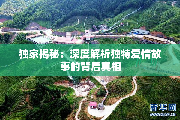 独家揭秘：深度解析独特爱情故事的背后真相