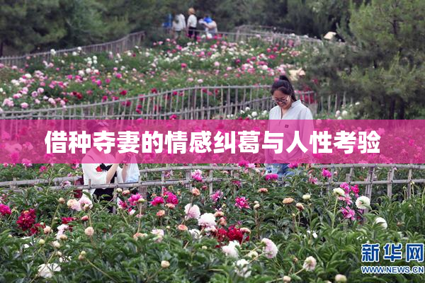 借种夺妻的情感纠葛与人性考验