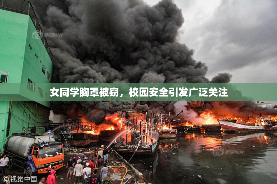 女同学胸罩被窃，校园安全引发广泛关注
