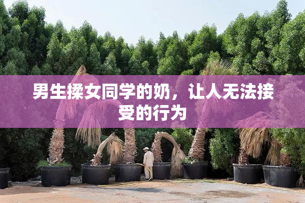 男生揉女同学的奶，让人无法接受的行为