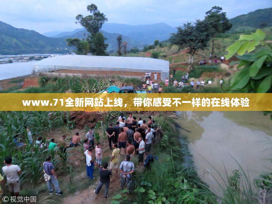 www.71全新网站上线，带你感受不一样的在线体验