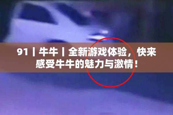 91丨牛牛丨全新游戏体验，快来感受牛牛的魅力与激情！