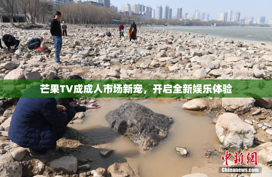 芒果TV成成人市场新宠，开启全新娱乐体验