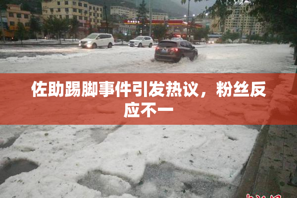 佐助踢脚事件引发热议，粉丝反应不一