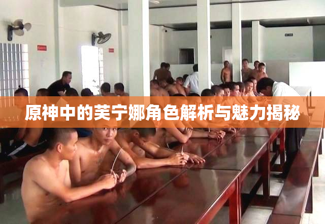 原神中的芙宁娜角色解析与魅力揭秘