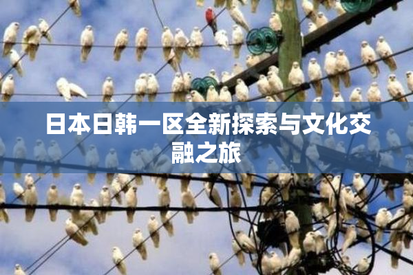 日本日韩一区全新探索与文化交融之旅