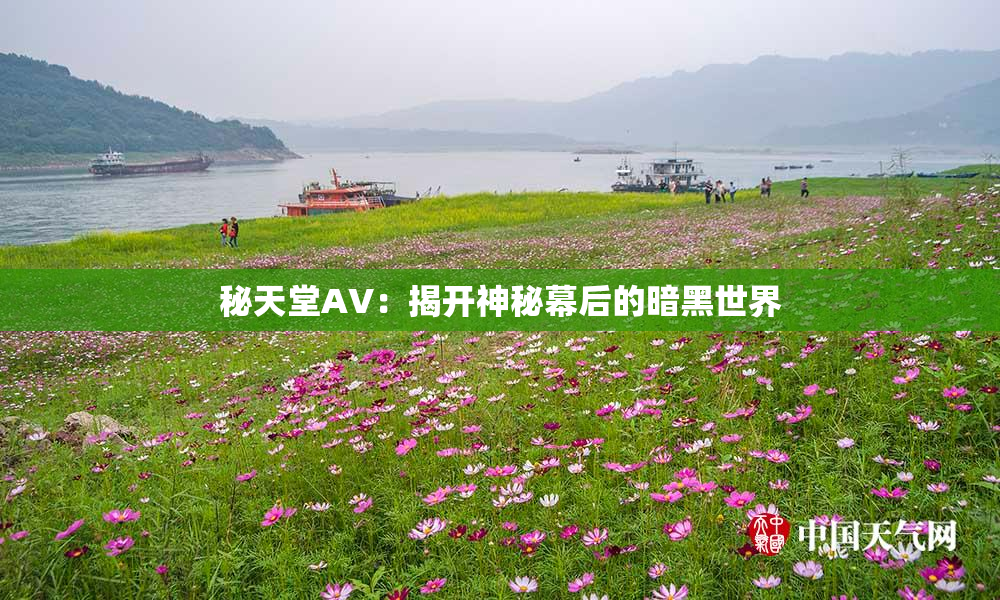 秘天堂AV：揭开神秘幕后的暗黑世界