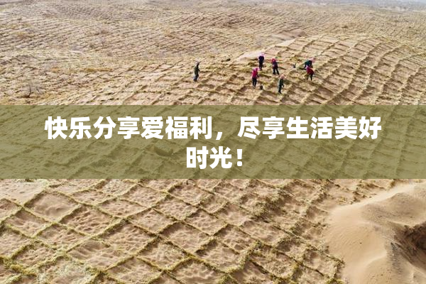快乐分享爱福利，尽享生活美好时光！