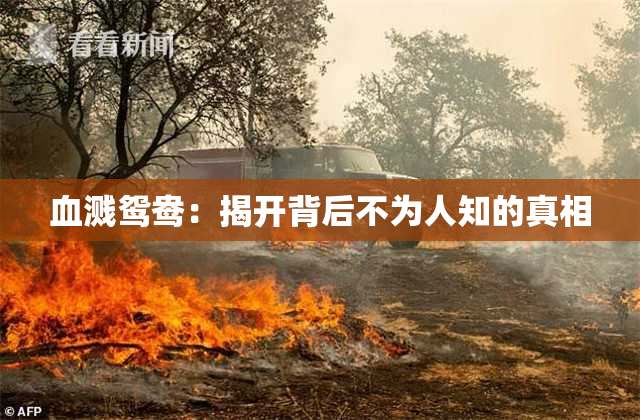 血溅鸳鸯：揭开背后不为人知的真相