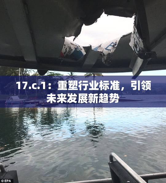 17.c.1：重塑行业标准，引领未来发展新趋势