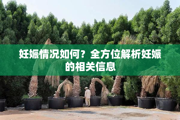 妊娠情况如何？全方位解析妊娠的相关信息