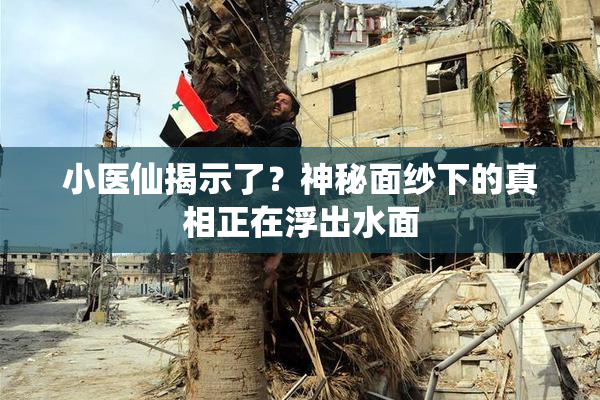 小医仙揭示了？神秘面纱下的真相正在浮出水面