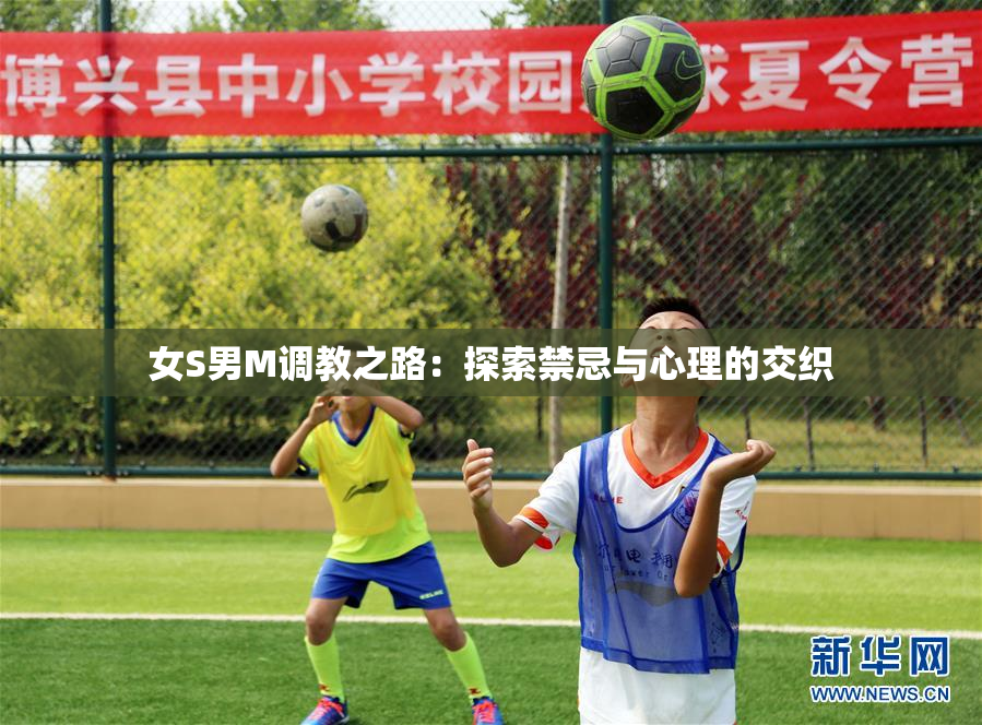 女S男M调教之路：探索禁忌与心理的交织